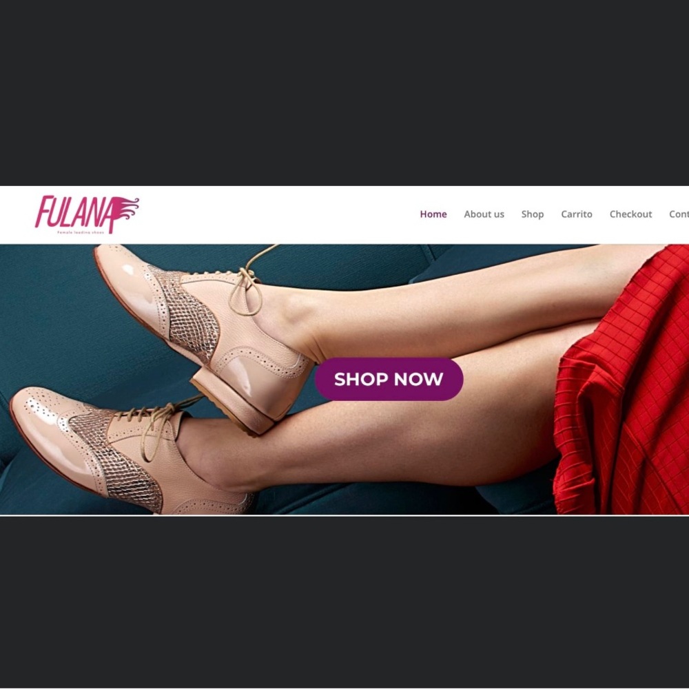 Brand new Fulana tango practice shoes